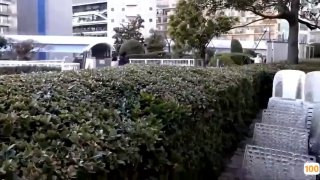 最新更新 Animalsex zootube: Animalsex-Zootube18🈲